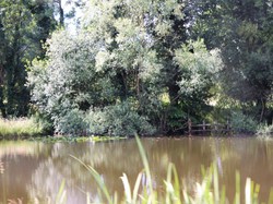 Illustration de la galerie