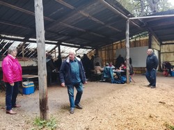 Illustration de la galerie