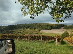 Illustration de la galerie