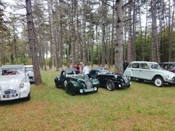 Illustration de la galerie