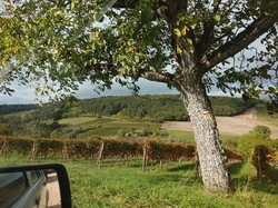 Illustration de la galerie