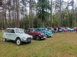 Illustration de la galerie