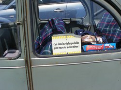 Illustration de la galerie