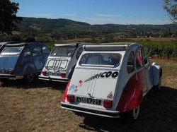 Illustration de la galerie