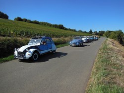 Illustration de la galerie