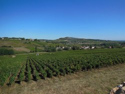 Illustration de la galerie