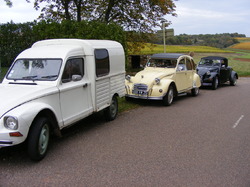 Illustration de la galerie