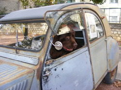 Illustration de la galerie