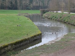 Illustration de la galerie