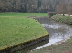 Illustration de la galerie