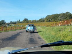 Illustration de la galerie