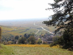 Illustration de la galerie