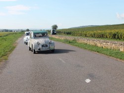 Illustration de la galerie