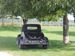 Illustration de la galerie