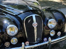 Illustration de la galerie