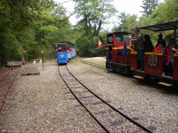 Illustration de la galerie