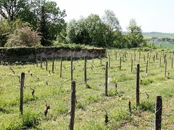 Illustration de la galerie