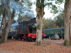 Illustration de la galerie