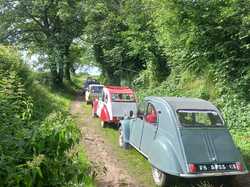 Illustration de la galerie