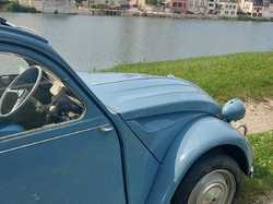 Illustration de la galerie