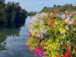 Illustration de la galerie