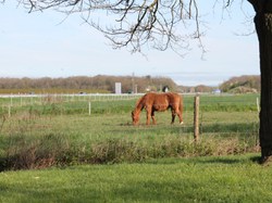 Illustration de la galerie