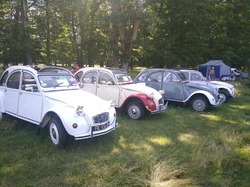 Illustration de la galerie