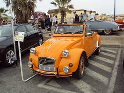 Illustration de la galerie