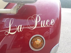 Illustration de la galerie