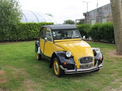 Illustration de la galerie