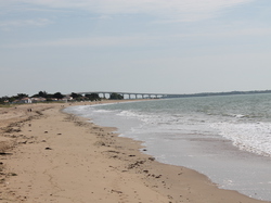 Illustration de la galerie