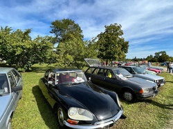 Illustration de la galerie