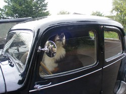 Illustration de la galerie