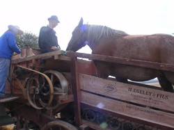 Illustration de la galerie