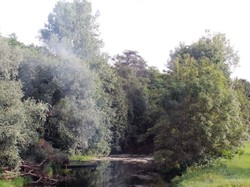 Illustration de la galerie