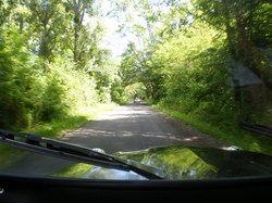 Illustration de la galerie