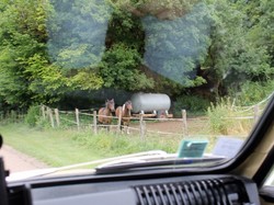 Illustration de la galerie