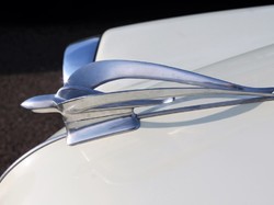 Illustration de la galerie