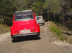 Illustration de la galerie