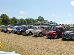 Illustration de la galerie