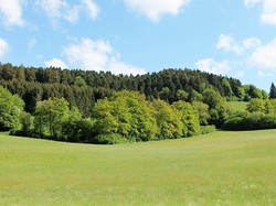 Illustration de la galerie