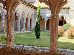 Illustration de la galerie