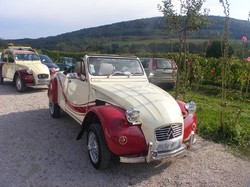 Illustration de la galerie