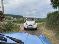 Illustration de la galerie