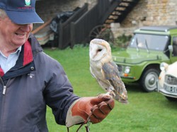 Illustration de la galerie