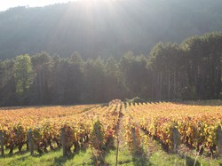 Illustration de la galerie