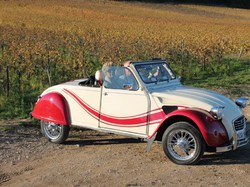 Illustration de la galerie