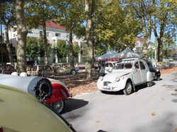 Illustration de la galerie