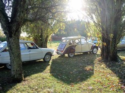 Illustration de la galerie