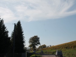 Illustration de la galerie